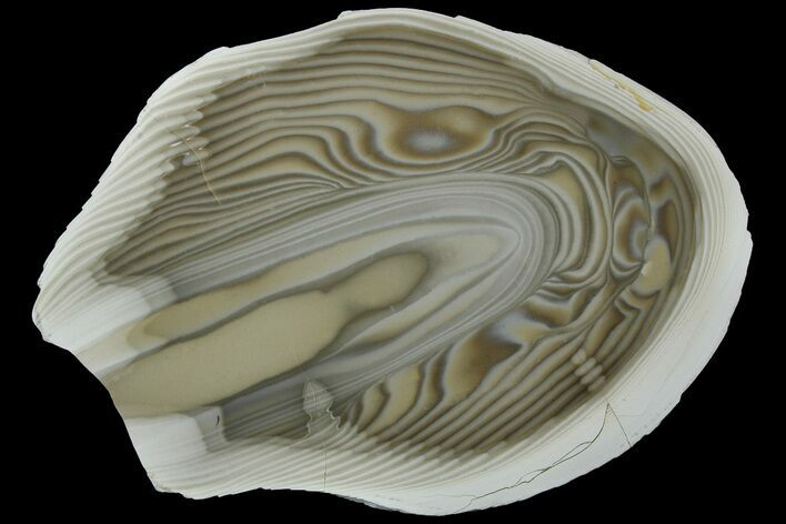 Polished, Striped Flint Slab - Poland #184806